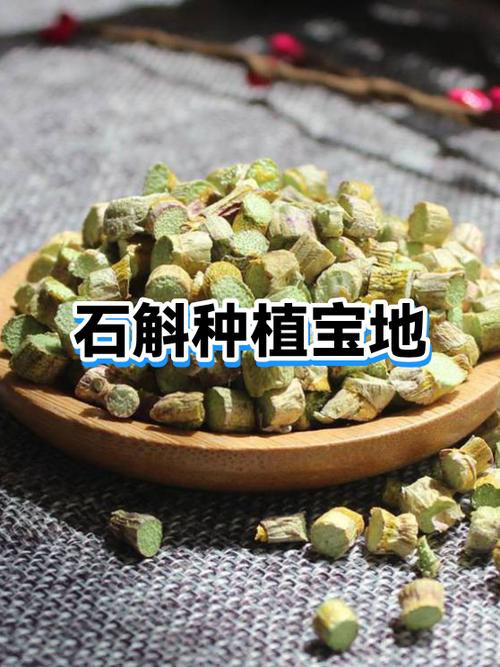 石斛种植宝地